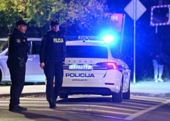 Policija u Hrvatskoj uhapsila muškarca koji je sjekirom ubio majku