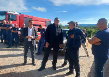 Dodik obišao požarišta kod Trebinja: Najvažnije je da nema povrijeđenih
