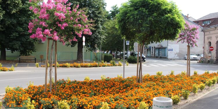 FOTO OKO: Park kao sa razglednice