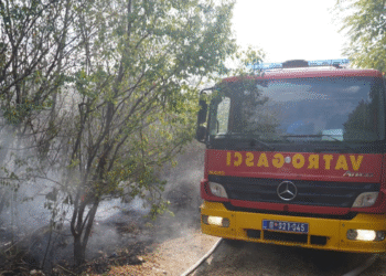 Požari širom Srbije: Najmanje 14 povrijeđenih, vojska učestvuje u gašenju