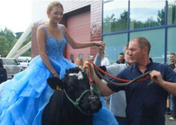 Djevojka zajahala kravu i došla na maturu, roditelji pucaju od ponosa