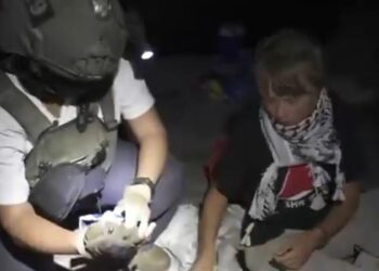Izraelski komandosi upali na humanitarnu flotilu za Gazu, uhapšena Greta Tunberg