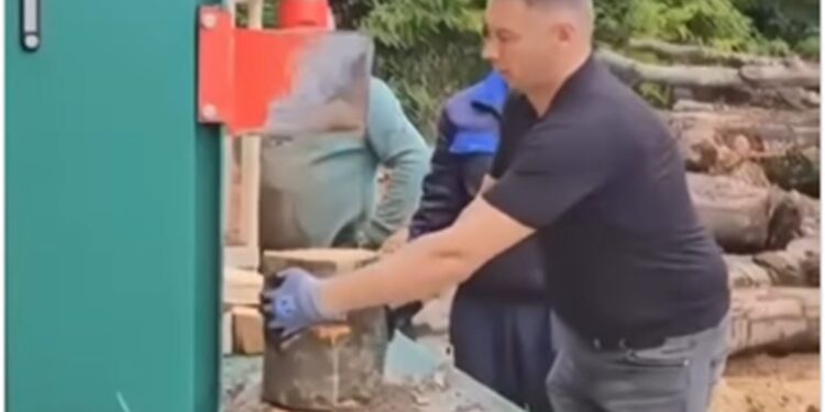 Nešić opet “na terenu”: Nakon kose i motorne pile, sada cijepa drva