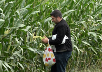 Farma Cvjetković primjer uspješnog porodičnog gazdinstva