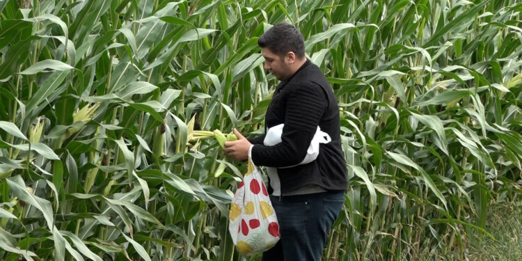 Farma Cvjetković primjer uspješnog porodičnog gazdinstva