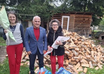 Pomoć porodici Aleksandra Šarančića iz Zumbulovca