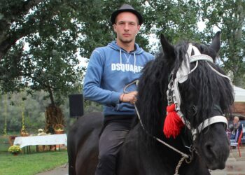 Admir Suhonjić život posvetio konjima: Prohodao sam držeći se za konjski rep