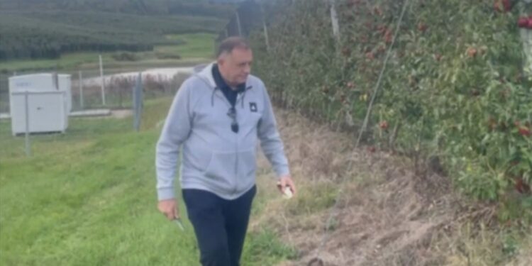 Dodik: “Ova godina nije bila dobra za voćare u Republici Srpskoj, rod jabuke prepolovljen”