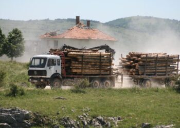 Totalni kolaps u ‘Šumama RS’: Plate kasne mjesecima, na pomolu rasprodaja imovine i otkazi
