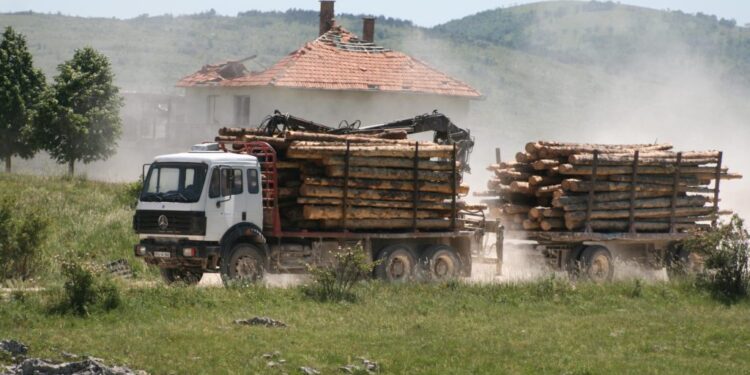 Totalni kolaps u ‘Šumama RS’: Plate kasne mjesecima, na pomolu rasprodaja imovine i otkazi