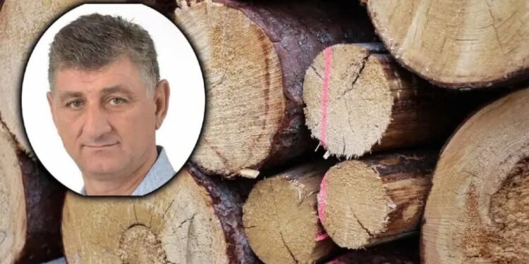 Sin poslanika SDS-a uhapšen u krađi drva