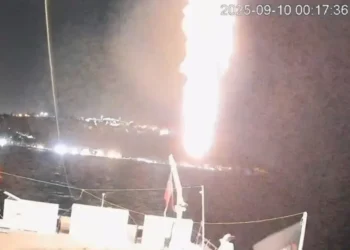 Hrvat uhapšen zbog napada na humanitarnu flotilu za Gazu