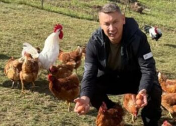 Nešić objavio sliku sa kokošima: “Svako jutro jedno jaje”