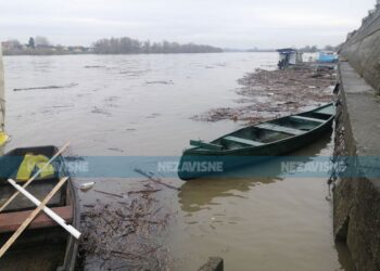 Raste Sava kod Gradiške