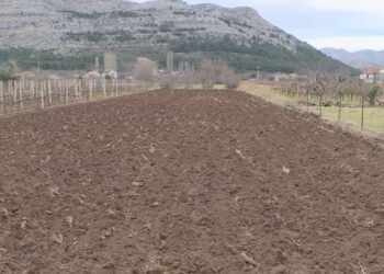 Uskoro oživljavaju zapuštena polja širom Srpske