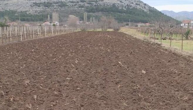 Uskoro oživljavaju zapuštena polja širom Srpske