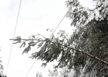 Sve terenske ekipe Elektrokrajine rade na otklanjanju kvarova
