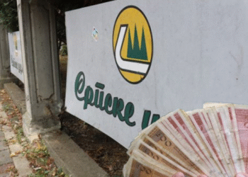 „Šume RS“ duguju milione, plata nema, otkazi vise u vazduhu