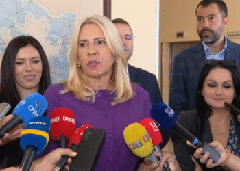 Cvijanović o nastupu Komšića u Vijeću sigurnosti: To je njegov lični stav, a nikako Predsjedništva