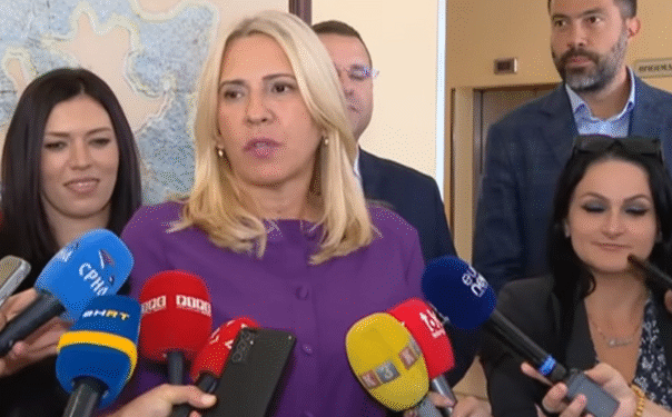 Cvijanović o nastupu Komšića u Vijeću sigurnosti: To je njegov lični stav, a nikako Predsjedništva