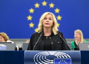 Zovko poručila iz Strasbourga: “Borba protiv nasilja nad ženama nije kampanja nego trajna obaveza”