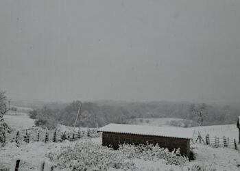 Zimska idila, selo Mašići  22.11.2025