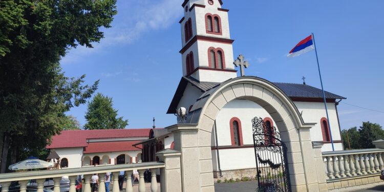 Danas Mitrovdan