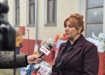 Pomoć Aktiva žena SNSD Gradiška u Nedjelji solidarnosti