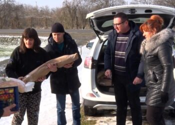 Podjela pečenica za socijalno ugrožene i višečlane porodice u ponedjeljak, 5. januara