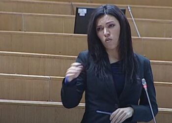 Vulić odbila zakone opozicije: SNSD i HDZ, tvrdi, jedini nose evropski put BiH