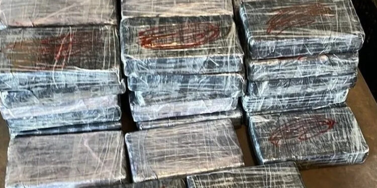 Državljanin BiH uhapšen sa drogom vrijednom dva miliona eura: Bila sakrivena sa nektarinama