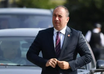 Crnadak se javio iz SAD-a, za sve krivi Košarca: Slanje nacističkog šljema je bio okidač za veću podršku Schmidtu
