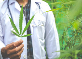 Bosna i Hercegovina legalizirala upotrebu kanabisa u medicinske svrhe