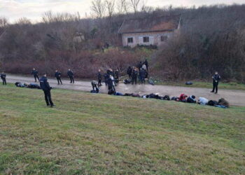 U graničnom pojasu kod Bosanske Gradiške pronađena 43 migranta