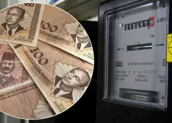 Direktor Elektroprivrede: Svake godine ćemo upućivati zahtjev za povećanje cijene struje
