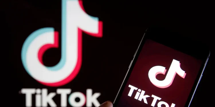 Djeca nam odrastaju na TikToku: Digitalno nasilje i opasni izazovi sve češći u BiH