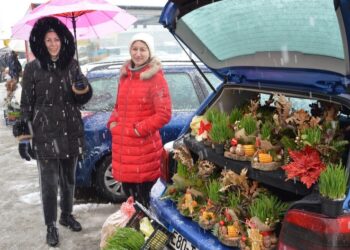 Velika ponuda božićnih ukrasa: Pšenica iz Lijevča, hrastove grančice iz Bosanske Krupe i Prnjavora