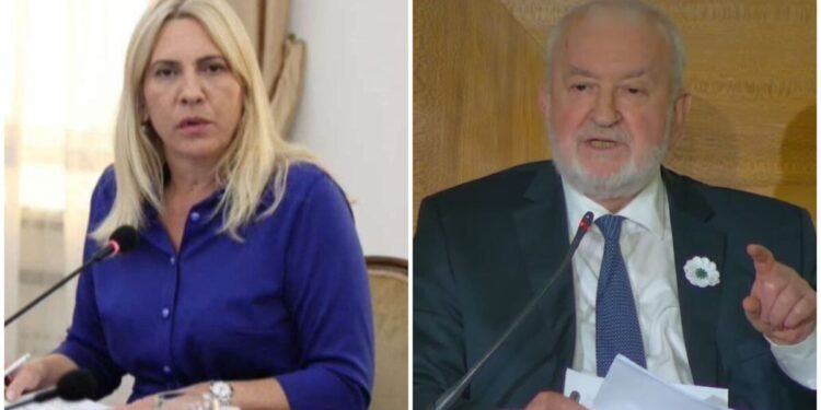Cvijanović: BiH po Ceriću treba biti država Bošnjaka gdje bi Srbi i Hrvati bili podstanari