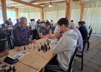 Tradicionalni 20. Svetosavski šahovski turnir u Donjim Podgradcima