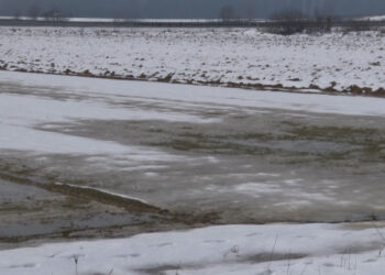 Snijeg i niske temperature pogoduju poljoprivredi