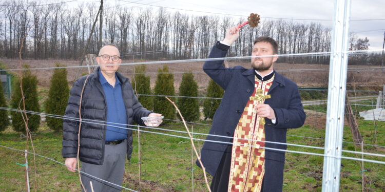 Danas je Trifundan, zaštitnik vinogradara