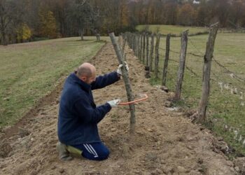 Branislav Vučkovac najbolji šahista i kalemar u Gornjim Podgradcima i šire