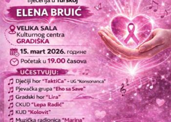 Humanitarni koncert za Elenu Bruić
