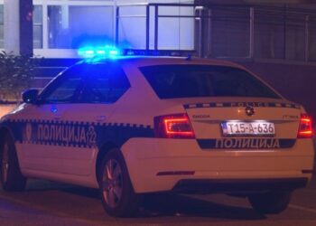 Maloljetno lice lišeno slobode zbog krivičnog djela „Sprečavanje službenog lica u vršenju službene radnje“