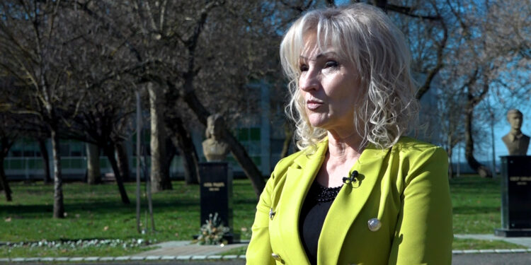 „Digitalna vrata Gradiške“, Savremeni način upoznavanja grada kroz digitalnu platformu