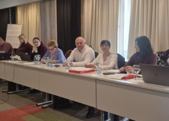 GRAD GRADIŠKA UČESTVOVAO U DEFINISANJU CAF AKTIVNOSTI U NAREDNOJ FAZI  UNDP MEG PROJEKTA