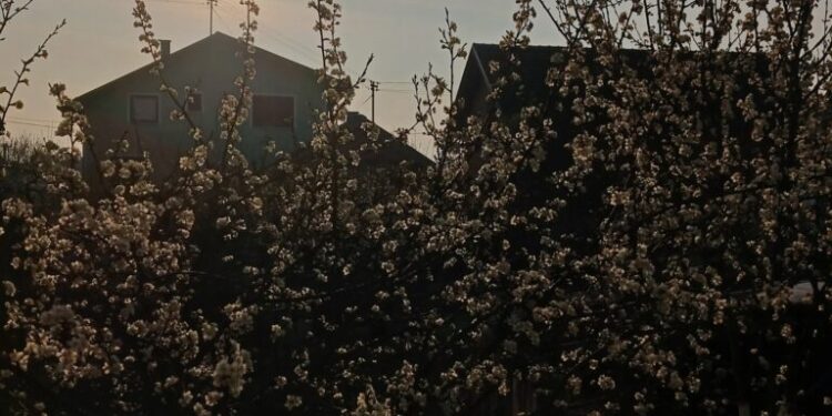 Uživajte u sunčanom danu, večeras stiže promjena vremena