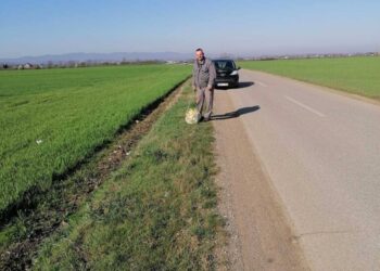 Foto dana: Radna akcija u MZ Seferovci