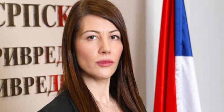 Kuzmić: Sistem podrške daje rezultate