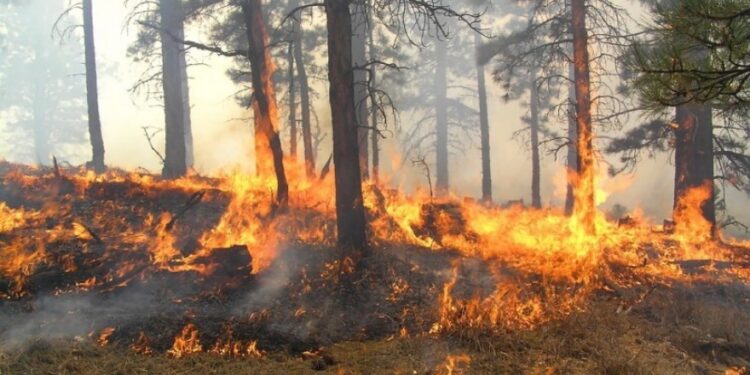 Upozorenje Šumskog gazdinstva Gradiška